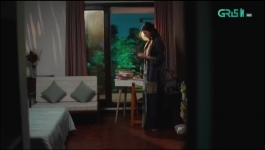 Shehzadi House - Episode 33